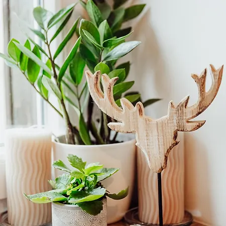 Przygoda W Karpaczu Karpacz