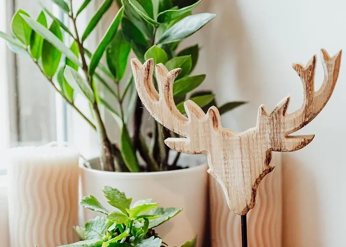 Przygoda W Karpaczu Карпач